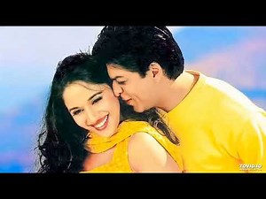 Hum Tumhare Hai 💞Tumhare Sanam ❤️ Shahrukh Khan Madhuri💞 Dixit Udit Narayan ❤️ 90 s Hits