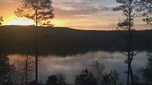 40K views · 68 reactions | This might make your Monday a little better (Turn up your volume) | Hunter Safety System | Facebook