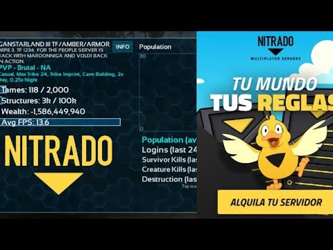 Cómo abrir un servidor en nitrado ?