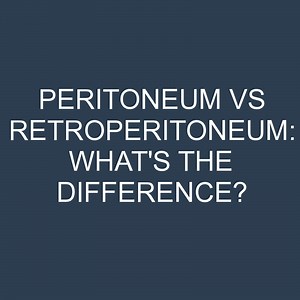 Peritoneum Vs Retroperitoneum: What's The Difference? » Differencess
