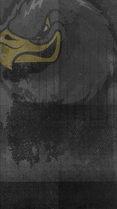 Number one for Classic Rock! Listen here https://959thehawk.com/listen-live/ | 95.9 The Hawk