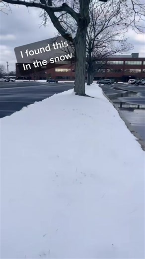 Geocaching in the snow… | Geocaching