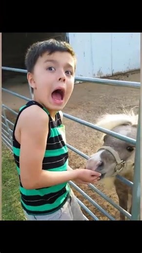 Funniest People Doing Random Things in Public