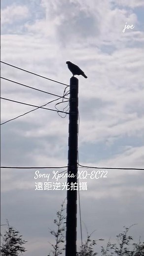 Sony Xperia XQ-EC72 Long Distance Backlight Shooting
