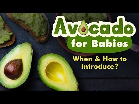 Introducing Avocado to Babies - When, Why and How?