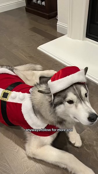 How to Style a Leather Jacket for Trendy Outfits