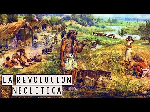The Neolithic Revolution - The Development of Agriculture - The History of Civilization