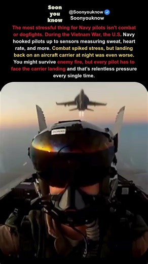 Navy Pilots Admit What Actually Scares Them #navy #military #pilot