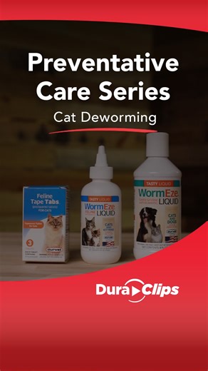 This week in our Preventative Care Series we’re focusing on cat deworming and parasite prevention! Help protect your cat from common parasites with regular deworming and flea control. 🐾 #CatHealth #PreventiveCare #Deworming | Durvet, Inc.