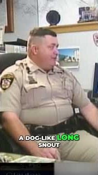 Chupacabra Sighting in Texas Real or Hoax