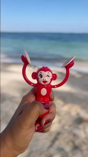 Clapping Monkey on the beach #monkey #clapping #dancing #pocoloco