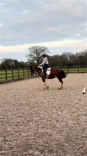 Funny Moments from Bucking Adventures