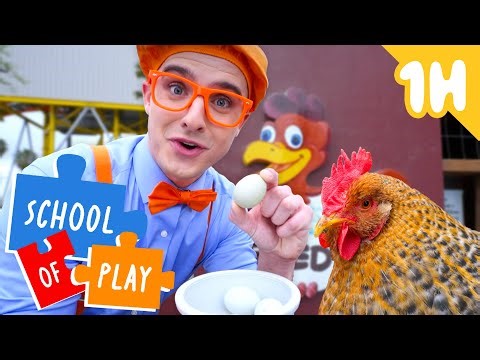 Blippi Meets Animals At The City Farm! 🐔 | Blippi | School of Play