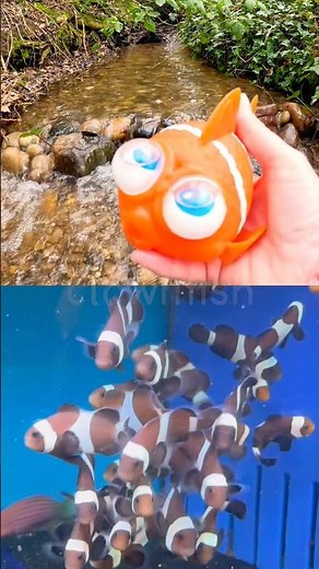 Sea Animal Names | Kids Learn at the Small Waterfall: Clownfish Seagull Turtle Octopus Shark