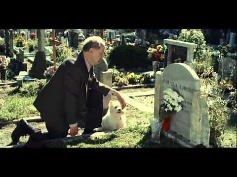 Cesar - Love Them Back TV Commercial