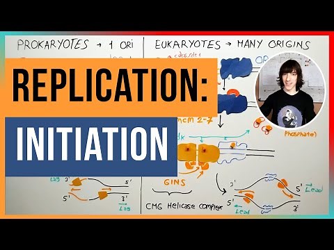 Initiation of DNA Replication