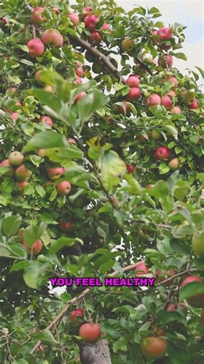 How Store Layouts Manipulate You to Spend More