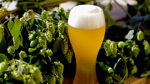 Manitowoc things to do this week include an Oktoberfest Party and ‘Paranormal Wisconsin’