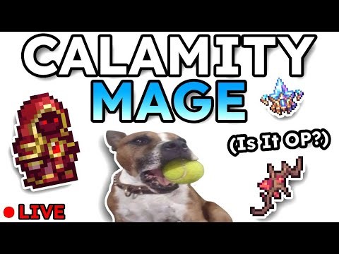 Calamity Mage but I Build for 6 Hours (1/44 Bosses)