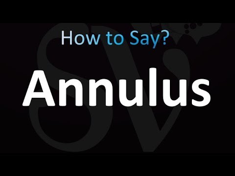 How to Pronounce Annulus (correctly!)