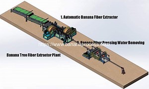 Automatic Banana Tree Fiber Production Line | Plantain Banana Processing Machine Manufacturer and Supplier