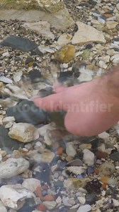 139 reactions · 23 shares | Instantly identify any rocks, crystals, gems, minerals and more by a snap. | Rock Identifier | Facebook