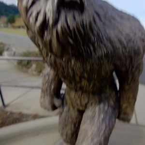 1.8K reactions · 303 shares | From finding Bigfoot to alpaca petting to polar bear watching, Jonny Harris returns to explore 13 more Canadian towns in Season 5 of Still Standing. 蓮️⁣ ⁣ ⁣ Go on the road with Jonny! New episodes air Tuesdays at 8/8:30 NT. You can also catch up on past episodes on CBC Gem. | Still Standing | Facebook