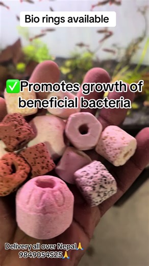 Enhance Aquarium Health with Bio Rings for Filtration