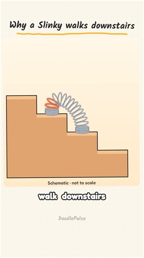 Why a Slinky walks downstairs, and why a dropped one waits. Sources: PBS, US patent 2,415,012 (stairs); Cross & Wheatland (drop); Time, Smithsonian. #Physics #Slinky #ScienceExplained #ToyPhysics