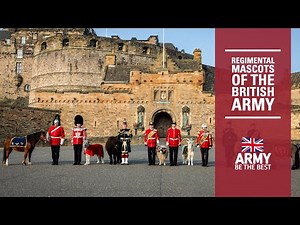 Regimental Mascots | British Army