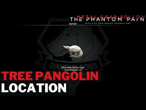 MGSV - Tree Pangolin Location