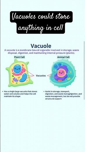 #vacuoles #biology #cell #science #animation #neetbiology #amazing #learning #chemistry