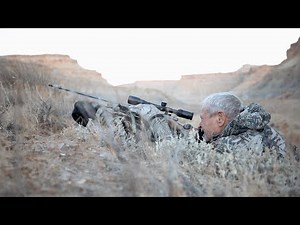 Rocky Mountain Bighorn Sheep Hunt