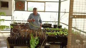 35 reactions · 41 shares | Every day, our world is facing greater environmental and resources challenges. New Israeli technologies are helping our world to overcome these issues. From water to energy through eco-friendly agriculture, Israel is leading the way to a better and more sustainable world. | All Things Israel | Facebook