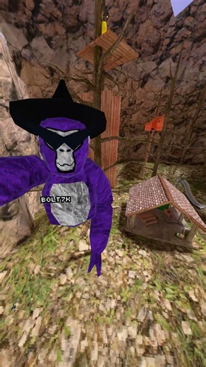 Useless Gorilla Tag Facts You Didn’t Need 👀 #10k #gorillatag #vr #gtag