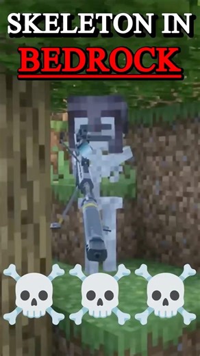 ⚡Java Skeleton⚡ vs ☠️Bedrock Skeleton☠️ #minecraft #minecraft meme