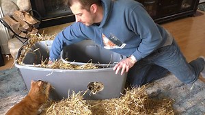 202K views · 5.1K reactions | It's winter, here's how to make a...