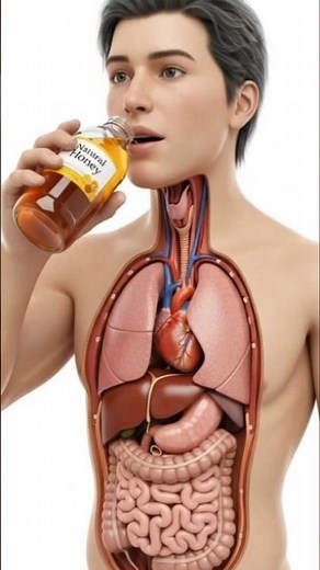 "What Happens If You Drink Honey🍯"Health Effects,Side Effects And More#health #healtheducation#facts