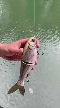 Swimbait Review: Bull Shad Shad Glide