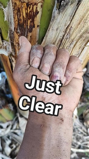 this is just clear #anyuniqueanimals #reptiles #snake