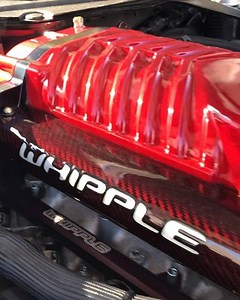 56 reactions | Family member @sc_ruby getting ready to but the beast...