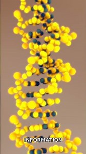 The discovery of DNA's double helix structure by James Watson and Francis Crick in 1953 revolutioniz