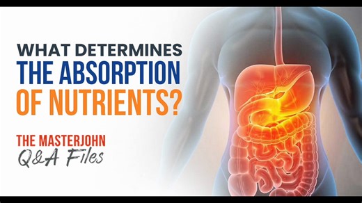 145: What determines the absorption of nutrients?