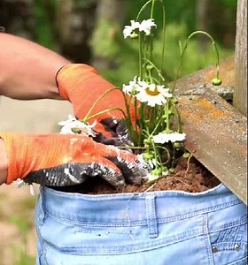 748K views · 575 reactions | Upcycle old jeans to decorate your garden with! | Green Bean | Facebook