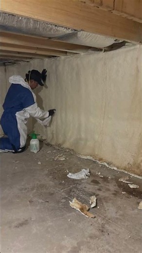 Crawlspace Water Mitigation and Moisture Control