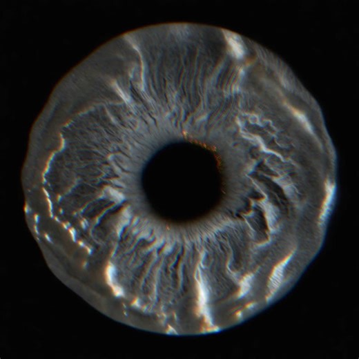 Dopamine-Testosterone Feedback Loop.#testosterone #psychology #neuroscience #brain #fyp