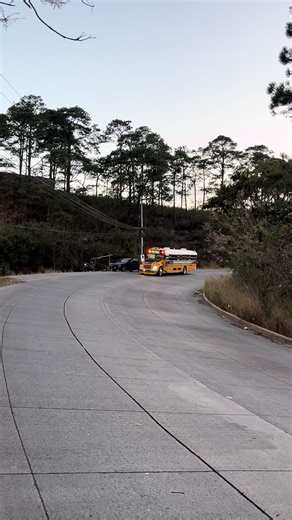 Buses Plus HN: La Ansony y Más Aventuras