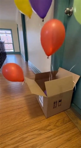 4K views · 44 reactions | Check out this hilarious cat **cartoon** that's taking **tiktok** by storm! The bright **colors** and silly surprise are perfect **for kids** and the whole **family**. This **funny animal videos** compilation also features a wide variety of **toys**. | Rescue Stories | Facebook