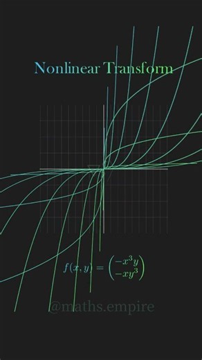Nonlinear Transformations are just so beautiful 🌌 #mathematics #physics #animation #algebra #calculus #geometry #derivative #integral #trigonometry #fyp #likeme #views | Maths Vids