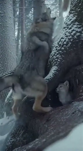 Vertical Extraction — The Gravity Protocol ⚡